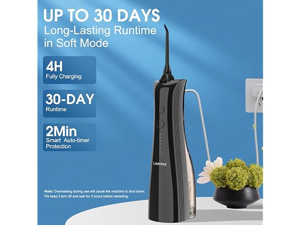 Leominor Water Dental Flosser