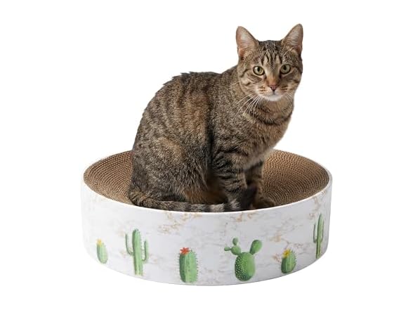 Kitty City Cactus Corrugate Scratcher Bed - Round Lounger