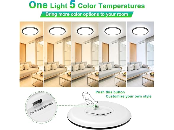 GoBright 2-Pack 12 Inch LED Ceiling Light Black