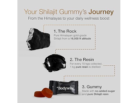 Be Bodywise Shilajit Gummies 60ct