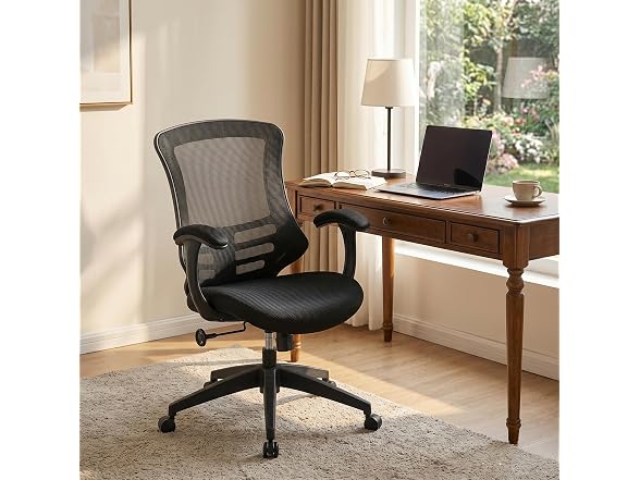 Office Chair Ergonomic Desk Chair 300lbs