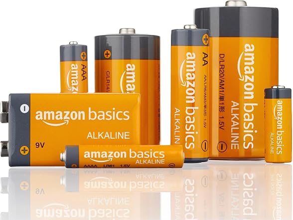 (4 Pack) Amazon Basics 9 Volt Alkaline Batteries