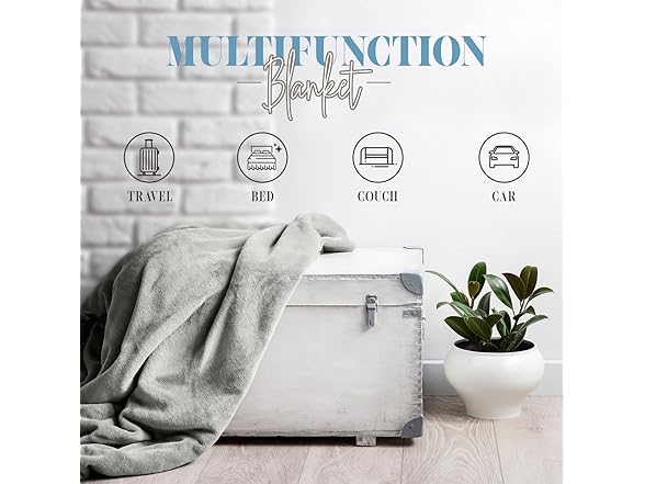 Elegant Comfort Micro-Velour King Blanket