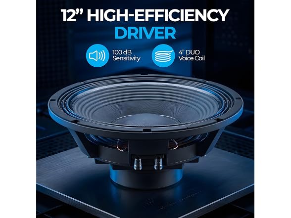 Beyma High Efficiency 12-inch Woofer