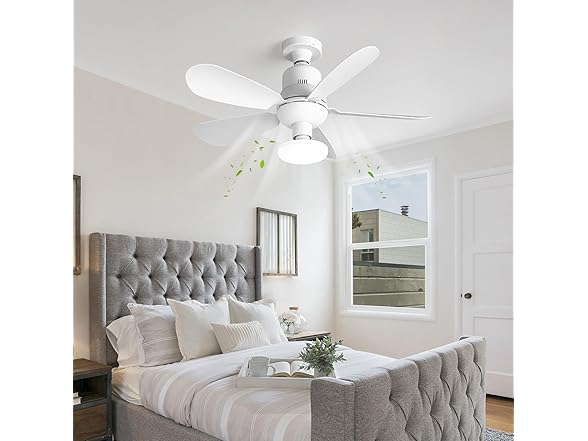 Socket Fan Light w/ Remote, Screw in with Disco Ball