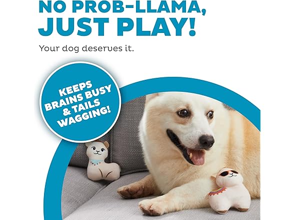 Outward Hound Hide Plush Dog Toy Puzzle (your choice)