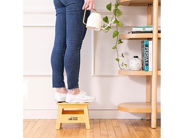 ECR4Kids Folding Step Stool with Handle