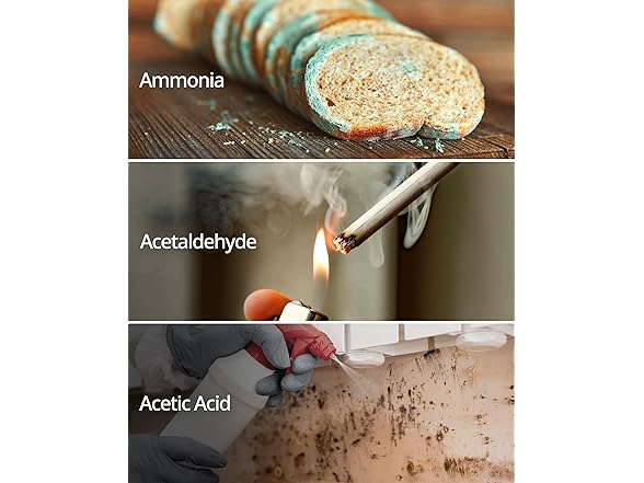 Coway Air Purifier Filter Replacement Black