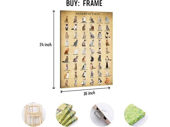 BASYEEO Cat Breeds Poster