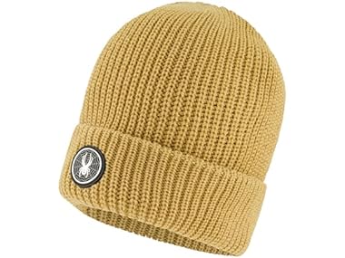 $10.99, Was $39, 71% Off! Spyder Mens Fleece Lined Cuff Logo Beanie dealfomo