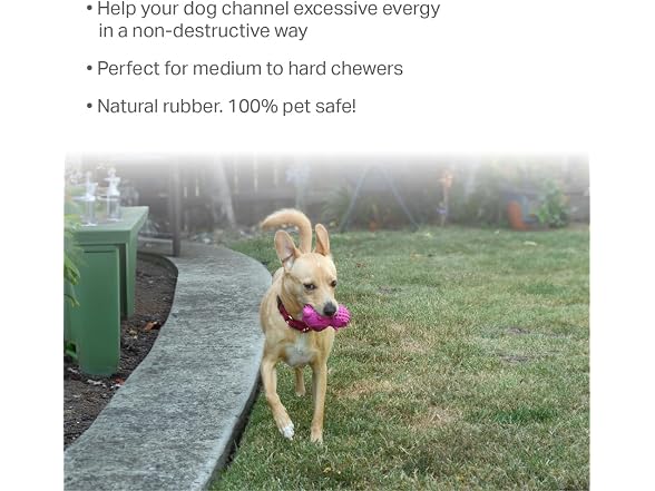 Friends Forever Squeaky Dog Toys with Tennis Ball