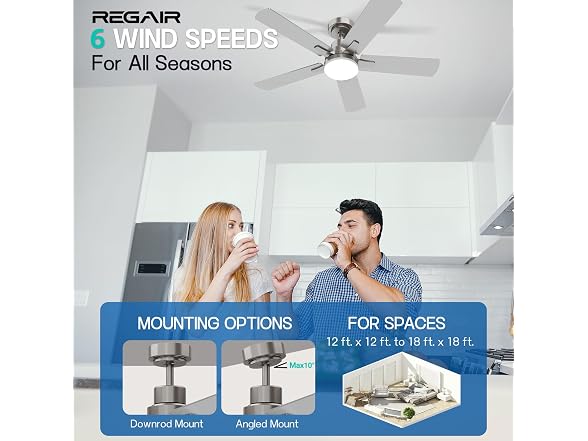 Regair Ceiling Fan
