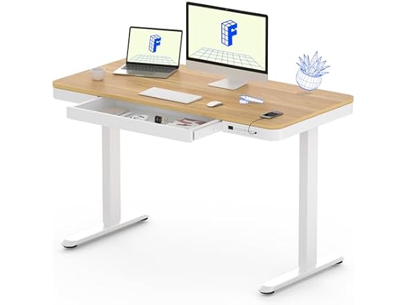 FLEXISPOT Comhar Electric Standing Desk