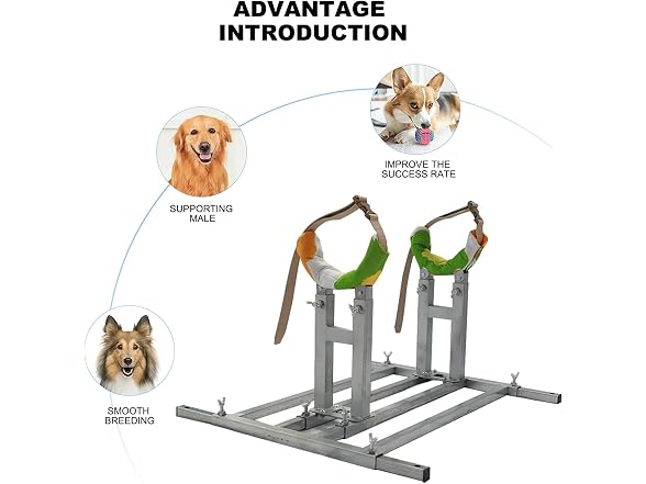 Dog Breeding Stand Stainless Steel Dog Breed