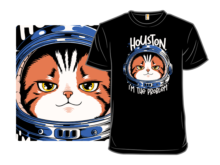 Houston Mood Problem - Gallery 8