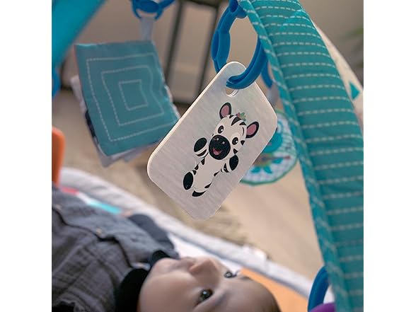 4-in-1 Music and Language Play Gym