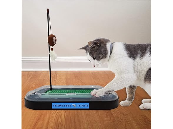 Pets First NFL BALTIMORE RAVENS FOOTBALL FIELD