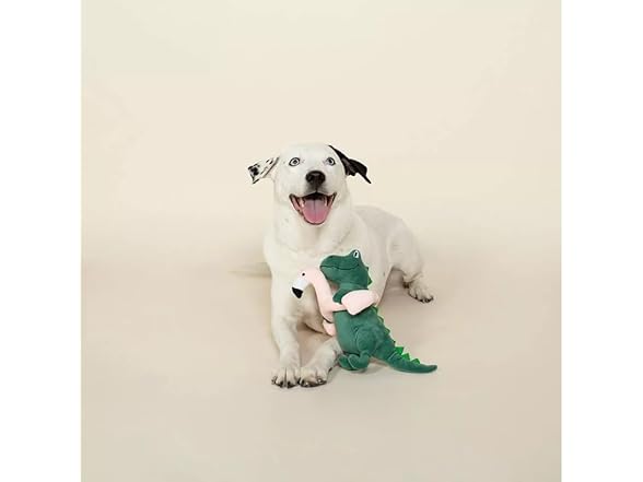 Fringe Studio Plush Dog Toy, “Pool Time Rex,”