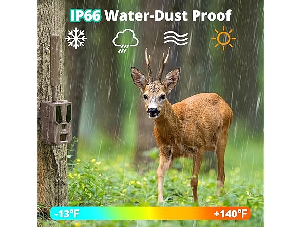 RECOTAC RECOTAC Sense Cellular Trail Camera - 32