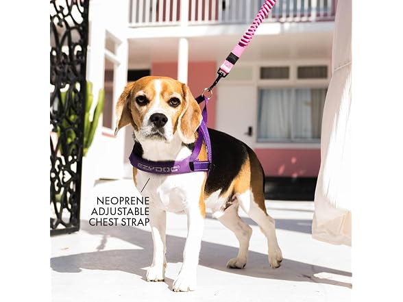 EzyDog Quick Fit Dog Harness, Soft Neoprene