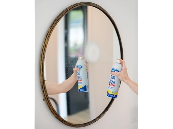 Sprayway Foaming Glass Cleaner Lemon 19oz