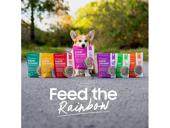 smallbatch Freeze Dried Dog Treats, Superfood Food Topper