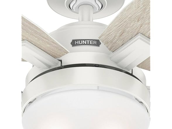 Hunter Fan 52 Inch White Ceiling Fan with Light