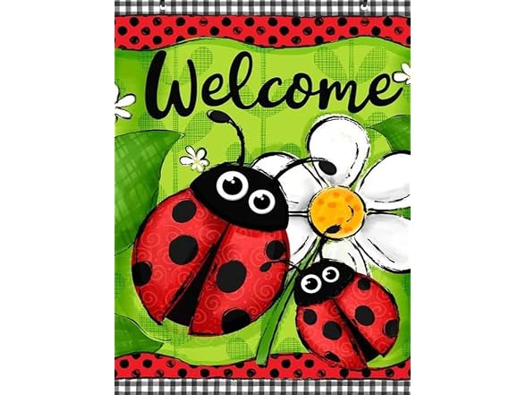 Ladybug