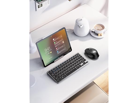 Philips Ergonomic Wireless Mouse