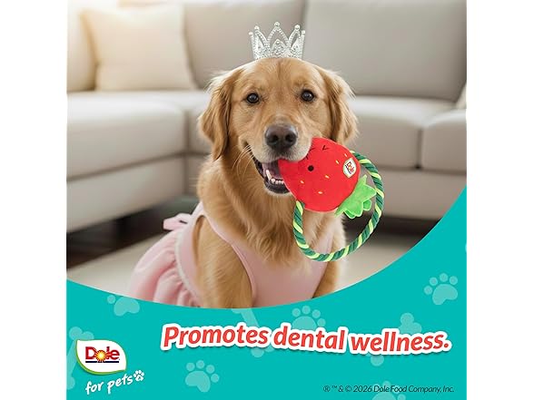 Dole for Pets Dog Rope Toy with Squeakers Strawberry