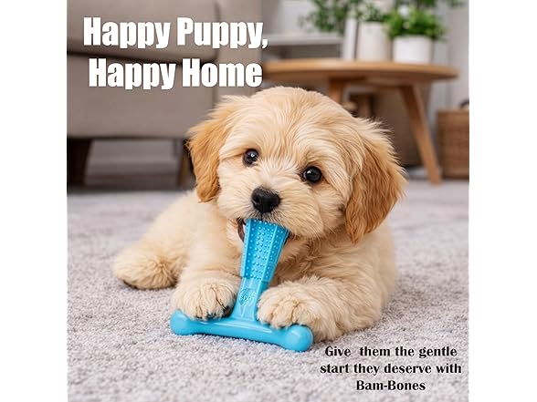 SPOT Bam-Bones Puppy T-Bone Dog Chew Toys, 2PK Blue