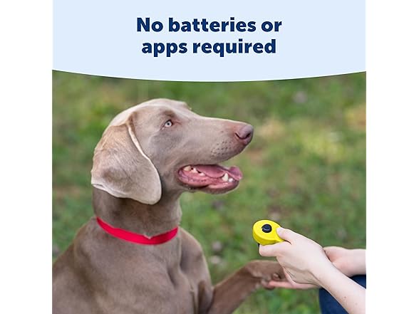 PetSafe Clik-R Training Tool Clicker Trainer