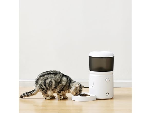Amazon Basics Automatic Pet Feeder, 4L