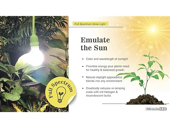 Growing Kit Full Spectrum 4KK 2pk