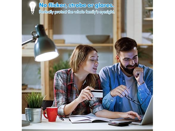 LED Light Bulbs, 100 Watt Equivalent A19 LED Bulbs