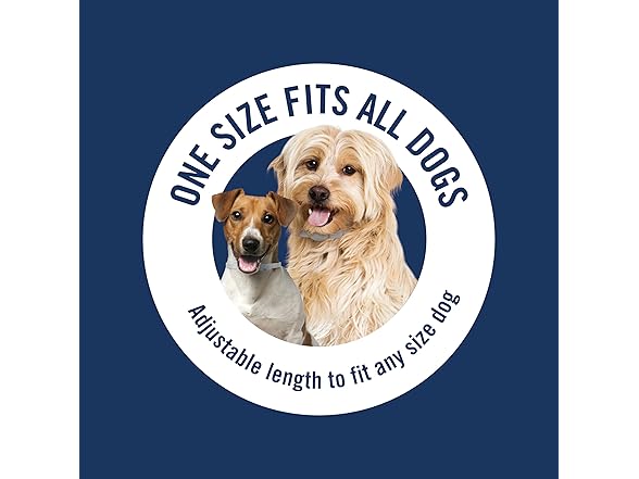 PetArmor Plus Flea & Tick Collar for Dogs