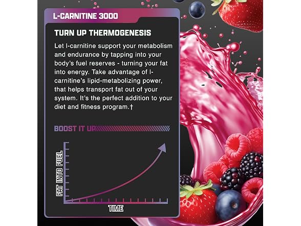 Nutrex Research L Carnitine 3000 31 Servings