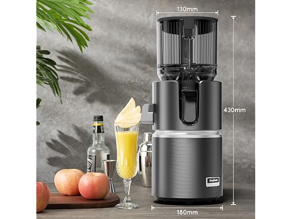 Anybear 350W Cold Press Juicer