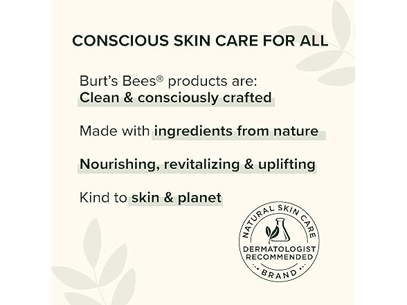 Burt's Bees Lip Balm Gift Set Fruit Mix