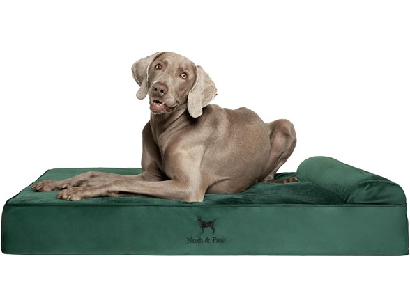 NOAH & PAW Dog Beds- Size and Style VARIES - Gallery 3