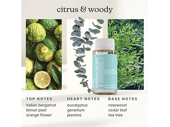 Homedics SereneScent Waterless Diffuser