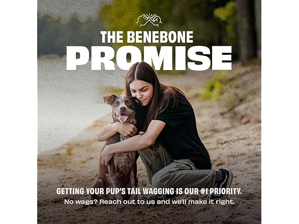 Benebone Natural Rubber Dog Bone Chew Toy