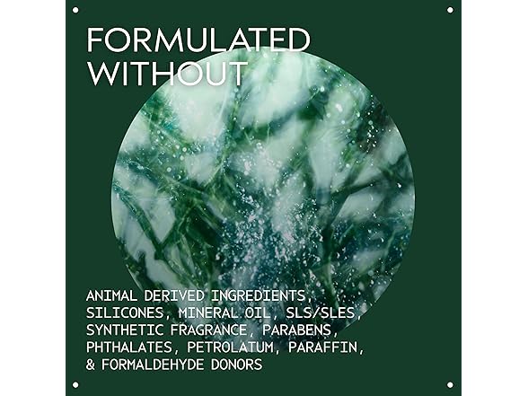 Aveda Botanical Kinetics Exfoliant, 5 oz