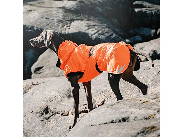 Hurtta Summit Parka Dog Winter Coat, Orange, 8 in