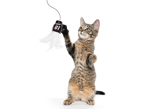 NBA Miami Heat Team Jersey Wand with CAT NIP