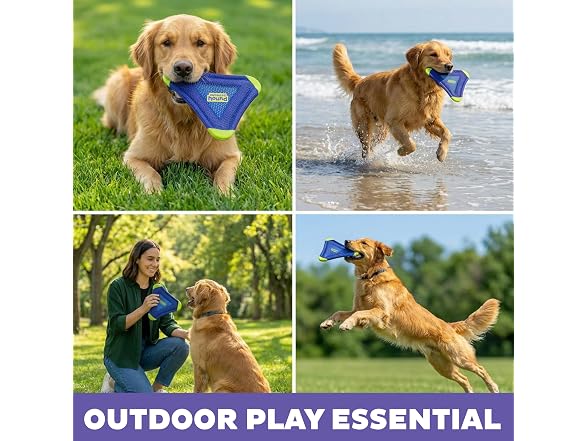 Outward Hound FlyFetch Flyer Dog Toy, Lightweight
