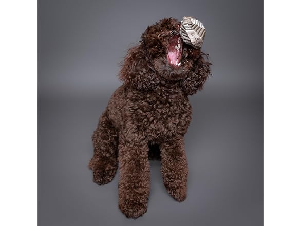 NOAH & PAW Luxury Dog Toy, Dog Rope Toy- Football, Beige