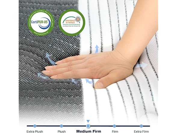Lechepus 10Inch Queen Mattress in Box