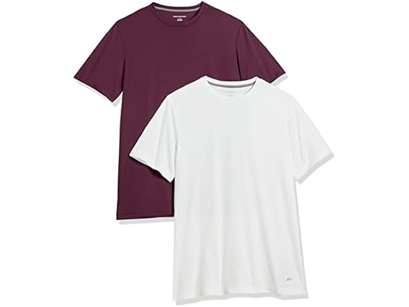 Amazon Essentials Mens Moisture Wicking Tech Tee 2Pk