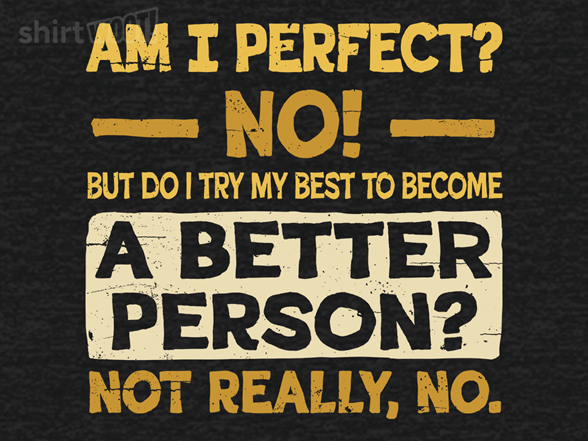 Am I Perfect?